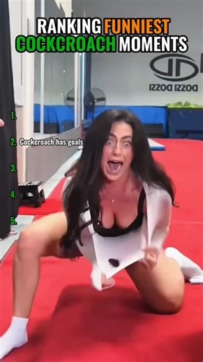 Ranking Funniest Cockcroach Moments