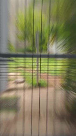 Clearview fencing & gates.