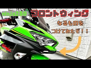 Front wing/custom video [ninja250]