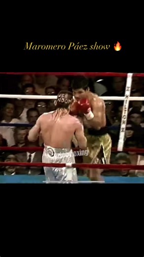 203K views · 5.9K reactions | #boxeo #boxing #showman #boxeomexicano #funny #Knockout #viral | Aztec Boxing | Facebook