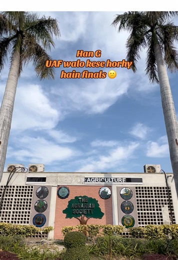 University of Agriculture Faisalabad Finals Insights