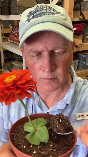 Movie Props: Edible Dirt and Sand #propmaster #foodtok