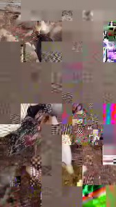 177K views · 10K reactions | Cute Daddy Talking Parrot Greeting Three Baby Parrots | Parrot Paradise | Facebook