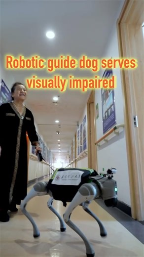 29K views · 209 reactions | A Chinese university research team has developed a robotic guide dog to offer greater support for the daily lives of the visually impaired. #China #robot #GuideDog #tech | China Xinhua News | Facebook