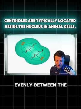🔴 IAL Biology Essential Concepts for 2026 exams - Cell Division (Role of the centrioles)