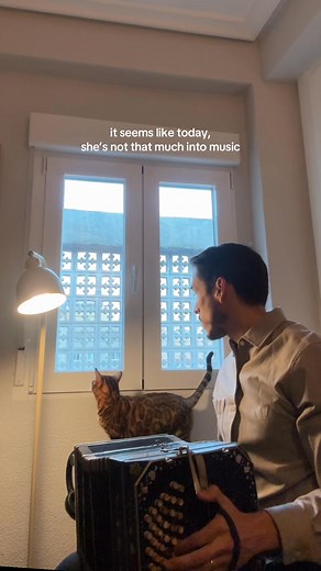 Music: La Danse Magique By Claudio Constantini #composer #classicalmusic #bandoneon #accordion | Claudio Constantini