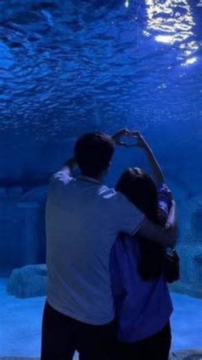 фанний on Instagram: "日本利用压电瓷砖将脚步转化为电能。这些瓷砖捕捉来自你脚步的动能。当你行走时，你的重量和动作会对瓷砖产生压力。瓷砖会轻微弯曲，从而产生机械应力。瓷砖内部的压电材料将这种应力转化为电能。每一步都会产生少量电荷，而数百万步结合在一起就能产生足够的电力来驱动LED灯、数字显示屏和传感器。在像涩谷车站这样繁忙的地方，每天大约有240万个脚步为这一系统作出贡献。 这些电能可以被储存或立即使用，从而减少对传统电力来源的依赖，并支持可持续的城市基础设施。 这种方法将日常运动转化为实用的可再生能源 #日本#知识# 事实 #你知道吗 #推荐 #科技#创新 #历史 #技术 #实验 #热门"