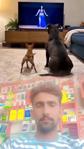 dog 🐶😂😂 #aigenerated #AI This video 2