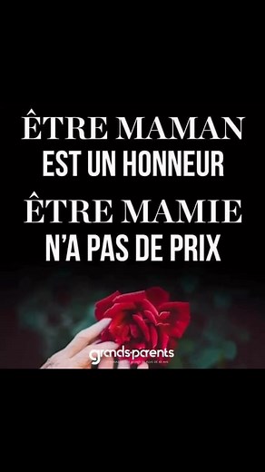 293K views · 6.8K reactions | ❤️❤️❤️ Grands-Parents https://www.grandsparentsofficiel.com | Grands-Parents | Facebook