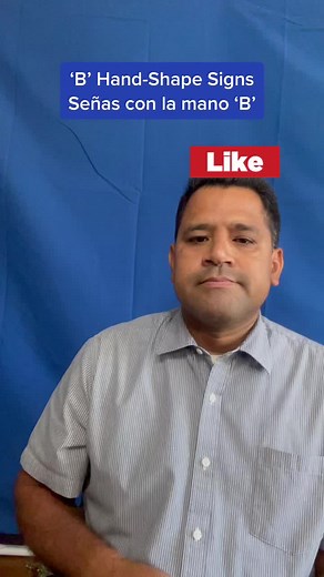 ‘B’ Hand-Shape Signs BUSSINES #learn #asl #aprende #señas #signlanguage #lenguajedeseñas #foryoupage #fyp