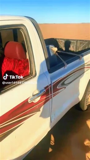 Vidéos de iass (@iass0820) avec original sound - iass