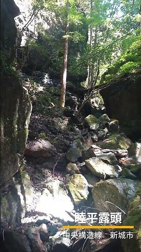 中央構造線 睦平露頭 #愛知県 #新城市