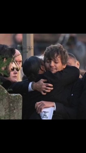 Heartwarming Reunion of Zayn, Harry, and Louis from One Direction