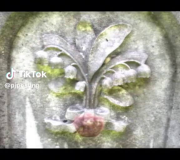 Understanding Taurus Rising's Traits and Influences