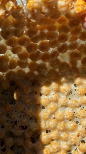 13K views · 107 reactions | Craving a crispy, cheesy snack (that will actually keep you satisfied)? 燎 COMMENT RECIPE  https://www.liveeatlearn.com/chickpea-parmesan-crisps/ | Live Eat Learn | Facebook