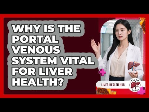 Why Is The Portal Venous System Vital For Liver Health? - Liver Health Hub