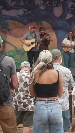 #bluegrass #guitar #mandolin #fiddle #bass #music #festival