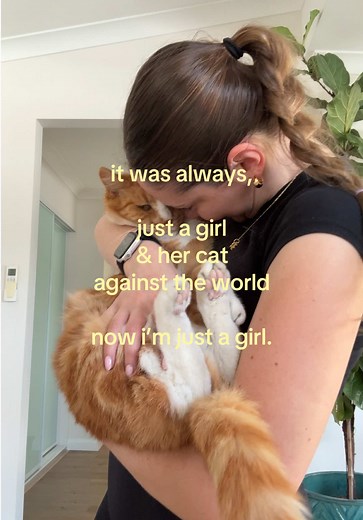 Missing My Cat One Month After Loss — How to Cope with Pet Grief