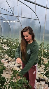 Genetics set the stage. Your habits decide the script 💪 | Blooms&Greens by Chloe