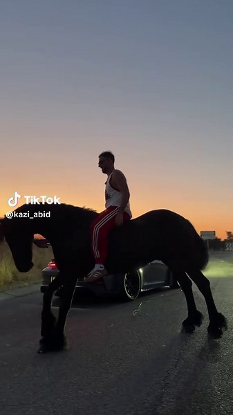 Horse vs Car: A Fun Comparison of Power and Speed