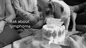 Your best friend deserves the best care. If your dog is at risk for cancer, annual lymphoma screenings are essential. Discuss screening with your veterinarian. | IDEXX
