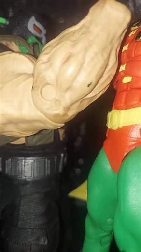 Batman: The Dark Knight's Vigilance