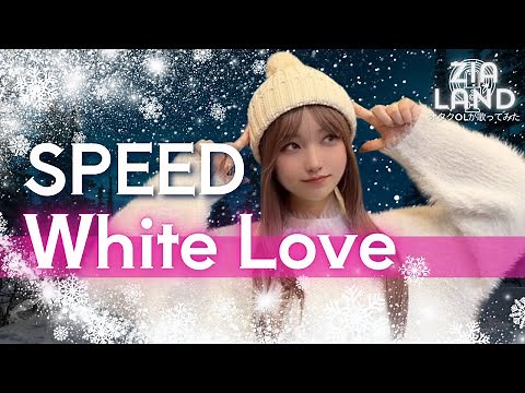 『SPEED / White Love(スピード/ホワイトラブ)』冬定番ソングヒット曲