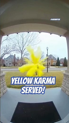 🤎🩷💚💛 Porch Pirate Revenge is a dish best served with ALL colors!