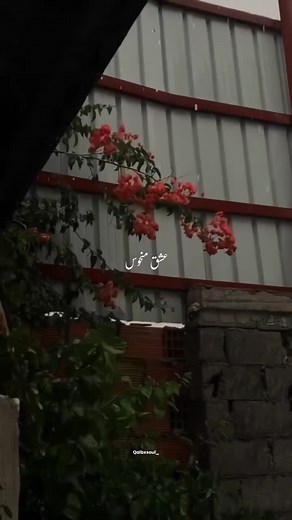 Ishq: Romantic Urdu and Hindi Song with Lyrics