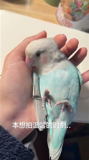 How to Spot a Lying Hand in 3 Easy Steps