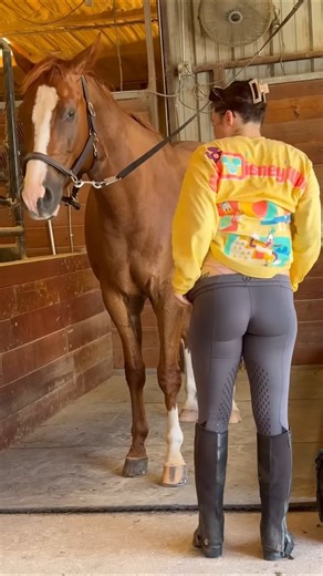 #timelapse, start to finish alone build log cabin (wooden house), how to buildwooden cabin,