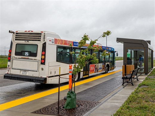 City bus fare options to be included in Saskatoon budget deliberations