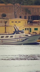 3.5K reactions · 4 comments | As Orla as can be, iconic prints meet new classics. Pattern and colour shine together for a spring season brimming with optimism and joy. | Orla Kiely | Facebook