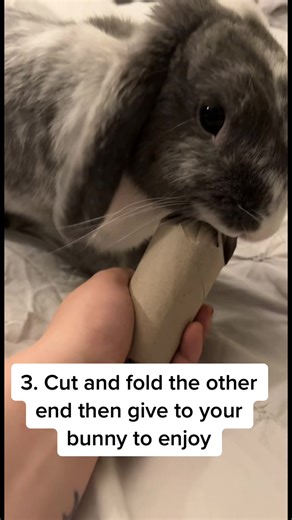 DIY Rabbit Toy: Affordable Fun at Home