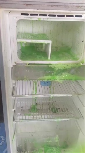 Delicious ASMR Food Sounds to Relax and Enjoy