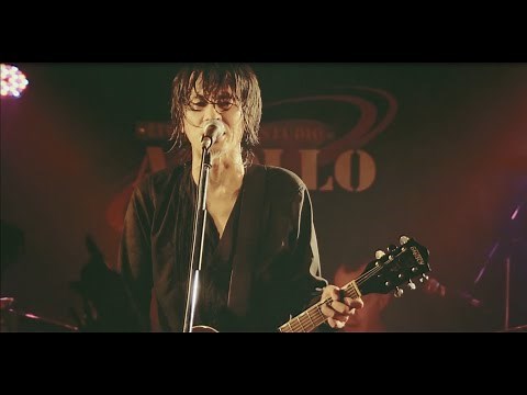 The Birthday「誰かが」（Live at 出雲APOLLO“シャム猫の絶叫”TOUR 2016）