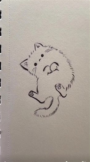 Cute Cat Drawing Ideas for Boredom
