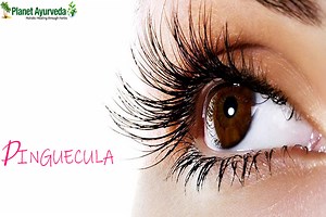 How to Get Rid of Pinguecula With the Help of Herbal Remedies - Planet Ayurveda