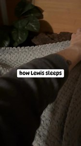 7.6K views · 110 reactions | Well… how did you expect a reptile to sleep? | Whosagoodlizard | Facebook