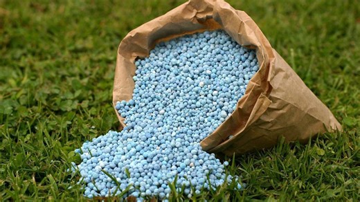 Real fertilizer isn't blue – synthetic fertilizers are ruining your garden