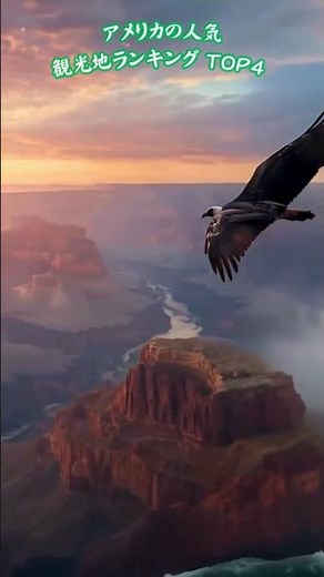 【TOP4】アメリカの人気観光地ランキング🐾