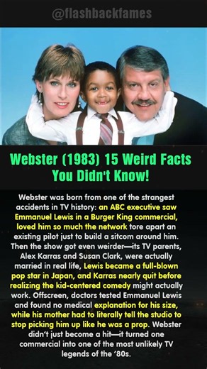 Webster (1983) 15 Weird Facts You Didn't Know! #shorts