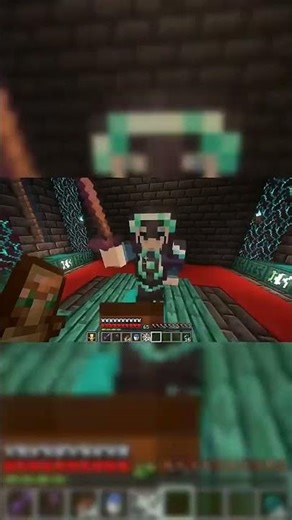 sainpie spider funny moment