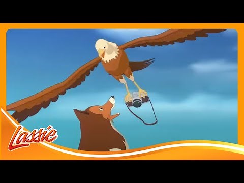 📸 A Brave Dog’s Adventure In The Wild and More Cartoons for Kids | Lassie Episode Compilation