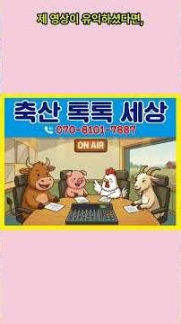 한우 번식우 관리 필수! 프리마틴(석녀) 구별법 #한우 #축산 #올바른정보 #동물
