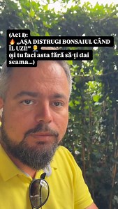 Nu, nu e „udat corect”. E CRIMĂ pentru rădăcini. Și încă văd zilnic oameni care își omoară bonsaiul așa… 👀 Stai până la finalul trilogiei ca să vezi DE CE și CUM se face corect. #StopUcideriiPlantelor #greseli #bonsai #plantcare #dontdothis #udare #planttok #gradinarit #learnontiktok #viralvideo | andreimarincean.ro