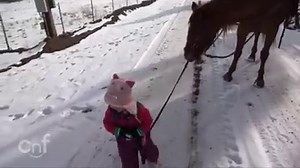 66M views · 286 reactions | CUTENESS OVERLOAD! JukinVideo | RantPets | Facebook