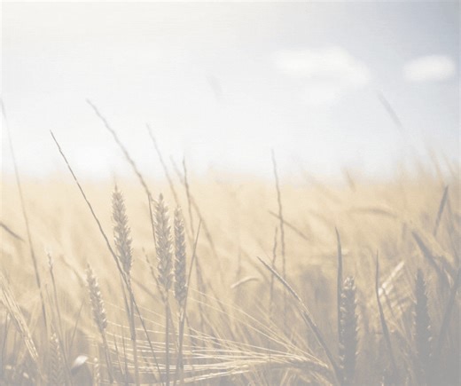 Sign up to our newsletter for weekly updates on all things Countryfile! 🐄🍃 ➡️ https://www.countryfile.com/newsletters/ ⬅️ | BBC Countryfile Magazine