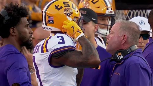 Brian Kelly gets into it with LSU players on the sideline