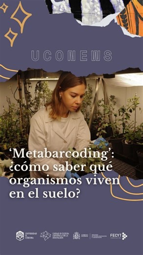 ¿Quién vive ahí? 🏠 Metabarcoding es una técnica que lee el ADN como si fuera un código de barras, y ha permitido a este equipo de la @universidaddecordoba saber qué organismos viven en una muestra de suelo | Córdoba Ciencia UCC i